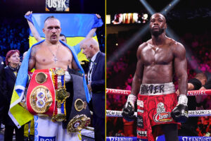 Usyk vs Wilder in estate?