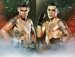 Emanuel Navarrete vs. Oscar Valdez II