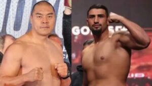  Zhilei Zhang Vs. Agit Kabayel